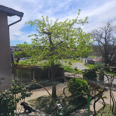 Apartment Dans Maison D'hote Arthes